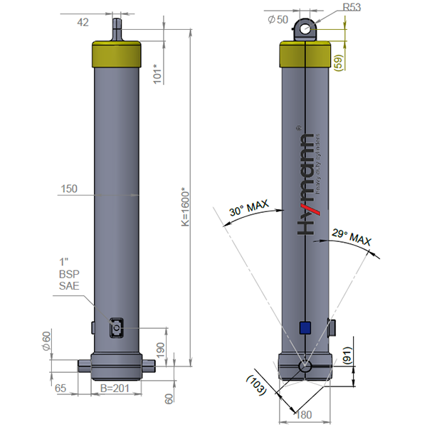 Цилиндр FE 129-3-03880-000-K1600-HC HYMANN